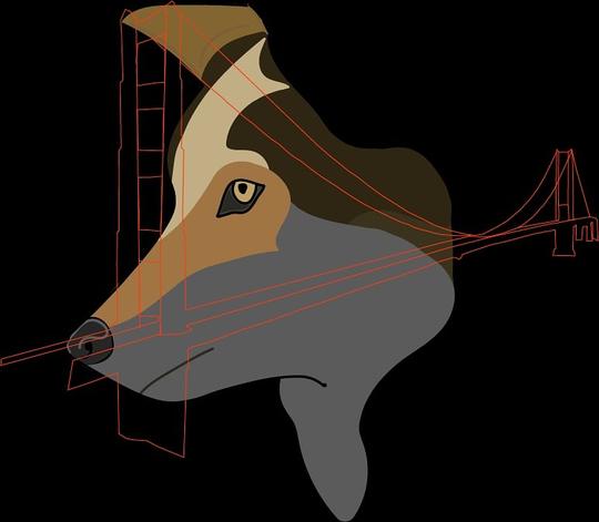 A wolf that travelled 9000 miles